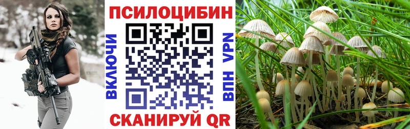 Псилоцибиновые грибы GOLDEN TEACHER  как найти наркотики  Арамиль 
